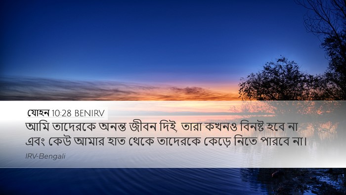 যোহন 10:28 BENIRV Bible Verse Image