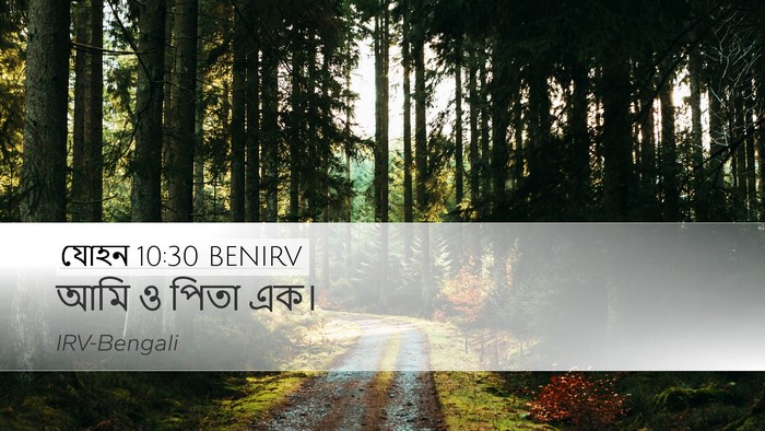 যোহন 10:30 BENIRV Bible Verse Image