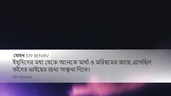 যোহন 11:19 BENIRV Bible Verse Image