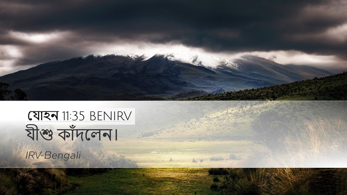 যোহন 11:35 BENIRV Bible Verse Image