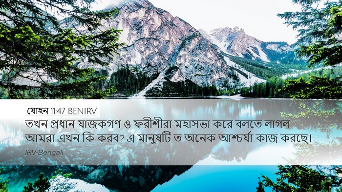 যোহন 11:47 BENIRV Bible Verse Image
