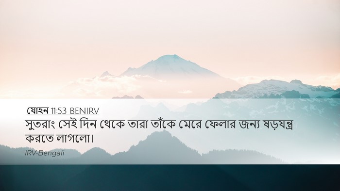 যোহন 11:53 BENIRV Bible Verse Image