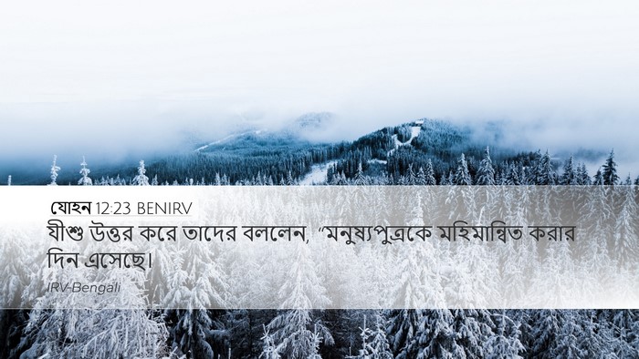 যোহন 12:23 BENIRV Bible Verse Image