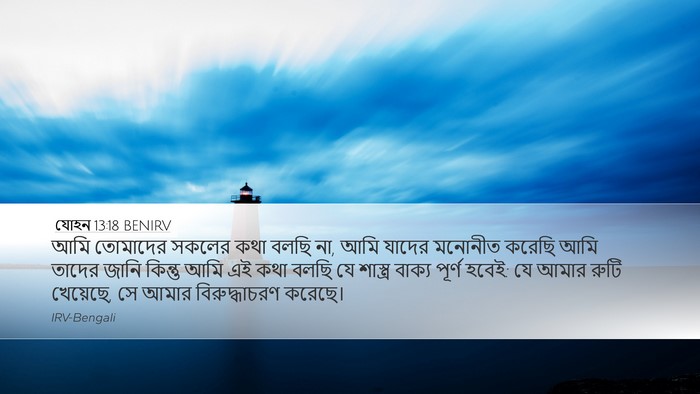 যোহন 13:18 BENIRV Bible Verse Image