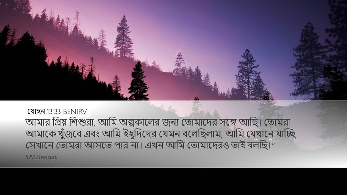 যোহন 13:33 BENIRV Bible Verse Image