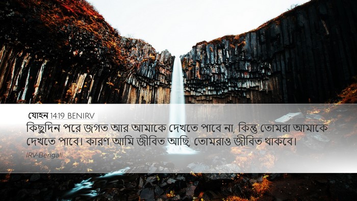 যোহন 14:19 BENIRV Bible Verse Image