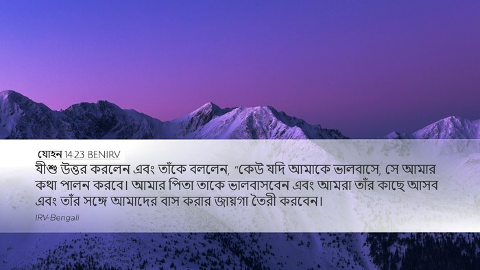 যোহন 14:23 BENIRV Bible Verse Image