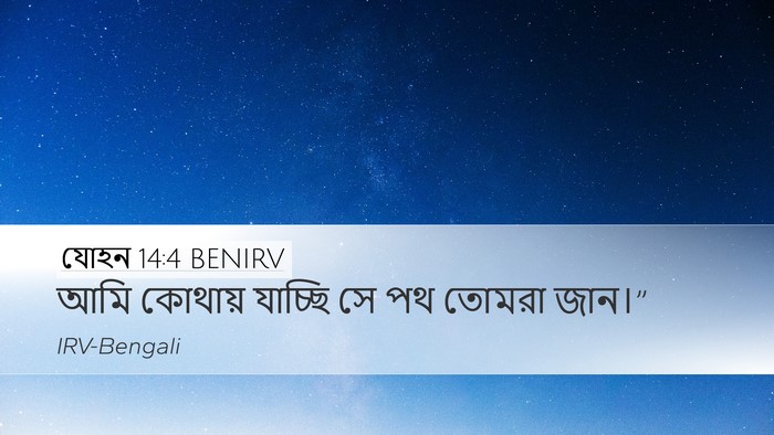 যোহন 14:4 BENIRV Bible Verse Image