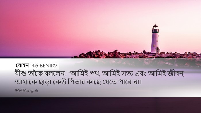 যোহন 14:6 BENIRV Bible Verse Image