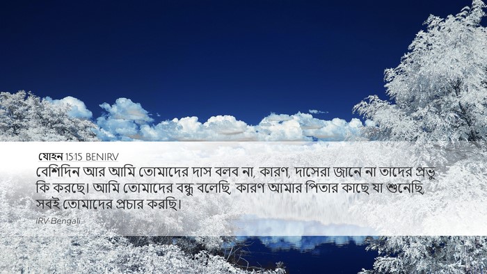 যোহন 15:15 BENIRV Bible Verse Image
