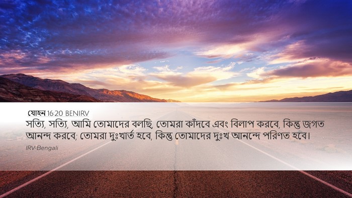 যোহন 16:20 BENIRV Bible Verse Image