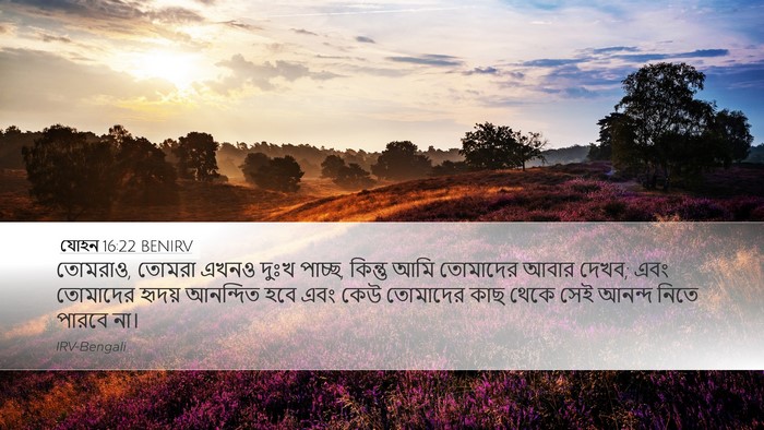 যোহন 16:22 BENIRV Bible Verse Image