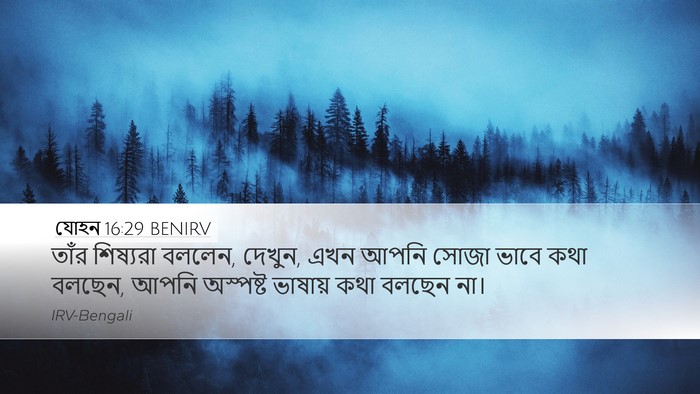 যোহন 16:29 BENIRV Bible Verse Image