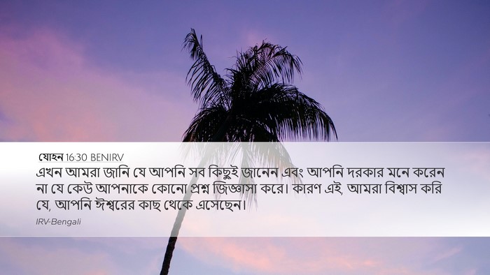 যোহন 16:30 BENIRV Bible Verse Image