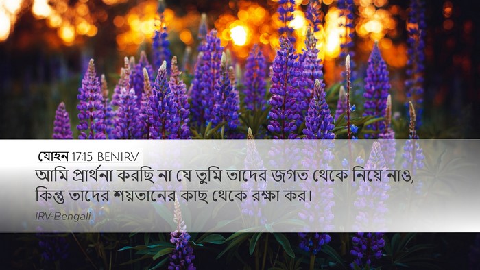 যোহন 17:15 BENIRV Bible Verse Image