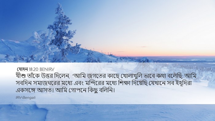যোহন 18:20 BENIRV Bible Verse Image