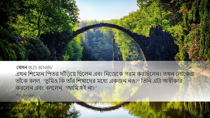 যোহন 18:25 BENIRV Bible Verse Image