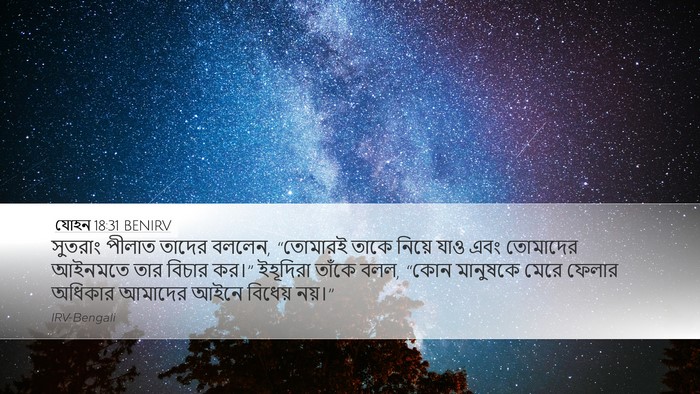 যোহন 18:31 BENIRV Bible Verse Image