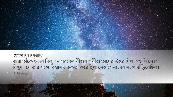 যোহন 18:5 BENIRV Bible Verse Image