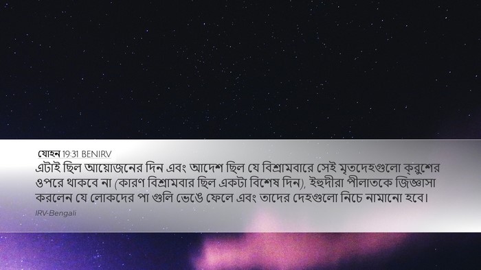 যোহন 19:31 BENIRV Bible Verse Image