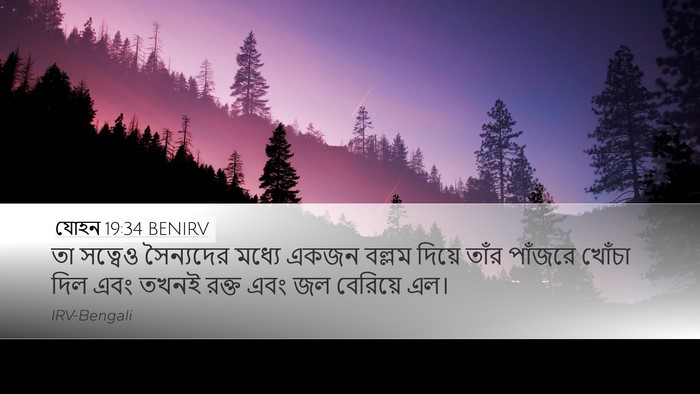 যোহন 19:34 BENIRV Bible Verse Image