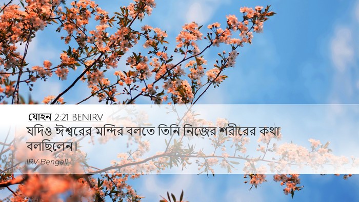 যোহন 2:21 BENIRV Desktop Wallpaper - যদিও ঈশ্বরের - Desktop Bible Verse Wallpaper