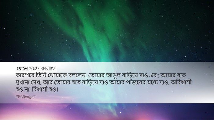 যোহন 20:27 BENIRV Bible Verse Image