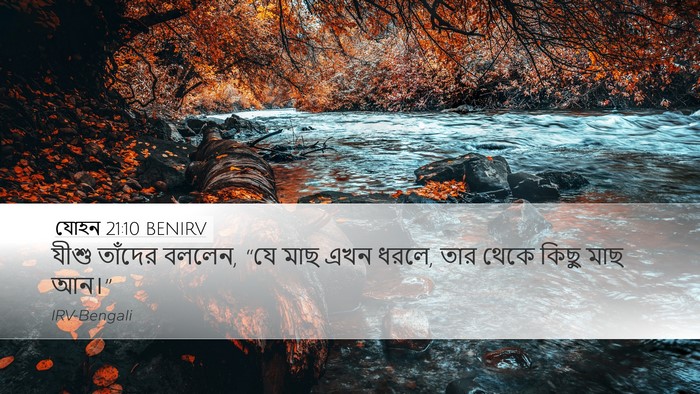যোহন 21:10 BENIRV Bible Verse Image