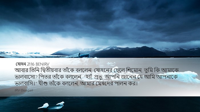 যোহন 21:16 BENIRV Desktop Wallpaper - আবার তিনি - Desktop Bible Verse Wallpaper