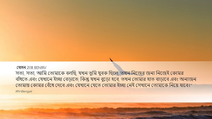 যোহন 21:18 BENIRV Bible Verse Image