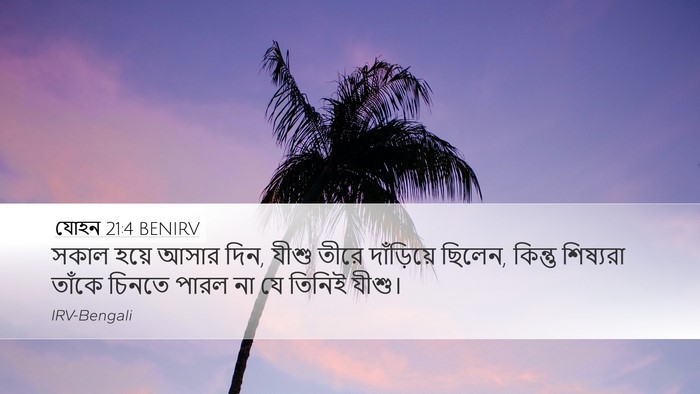 যোহন 21:4 BENIRV Bible Verse Image