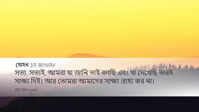 যোহন 3:11 BENIRV Bible Verse Image