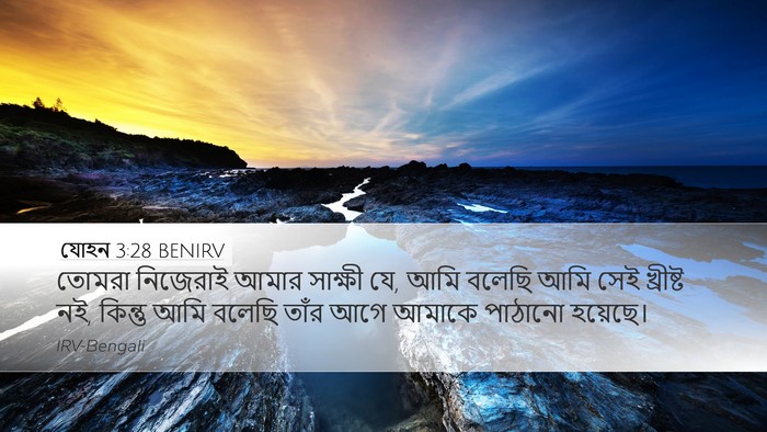 যোহন 3:28 BENIRV Bible Verse Image