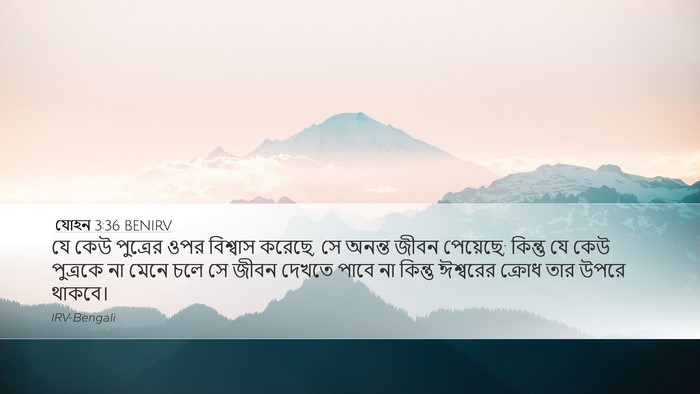 যোহন 3:36 BENIRV Bible Verse Image