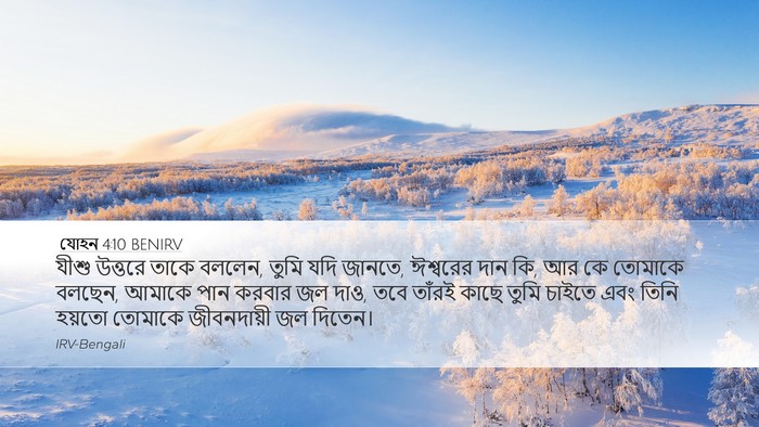 যোহন 4:10 BENIRV Bible Verse Image