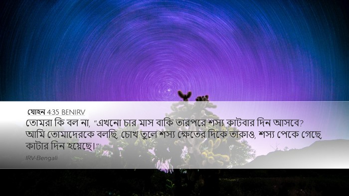 যোহন 4:35 BENIRV Bible Verse Image