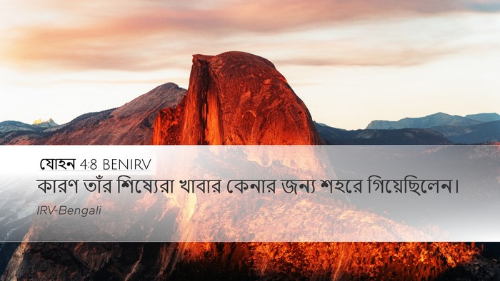 যোহন 4:8 BENIRV Bible Verse Image