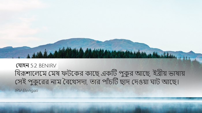 যোহন 5:2 BENIRV Desktop Wallpaper - যিরূশালেমে মেষ - Desktop Bible Verse Wallpaper