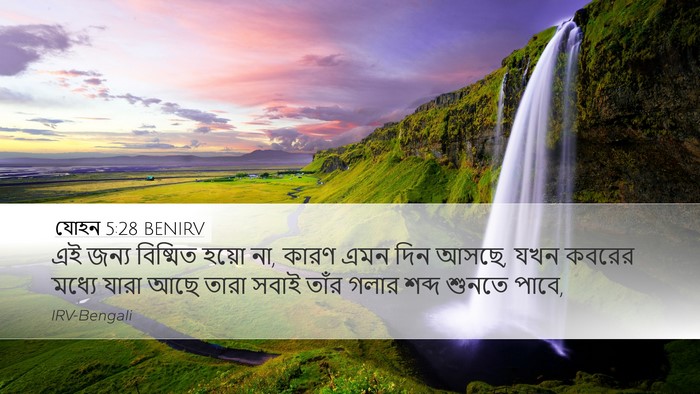 যোহন 5:28 BENIRV Bible Verse Image
