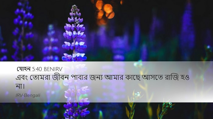 যোহন 5:40 BENIRV Bible Verse Image