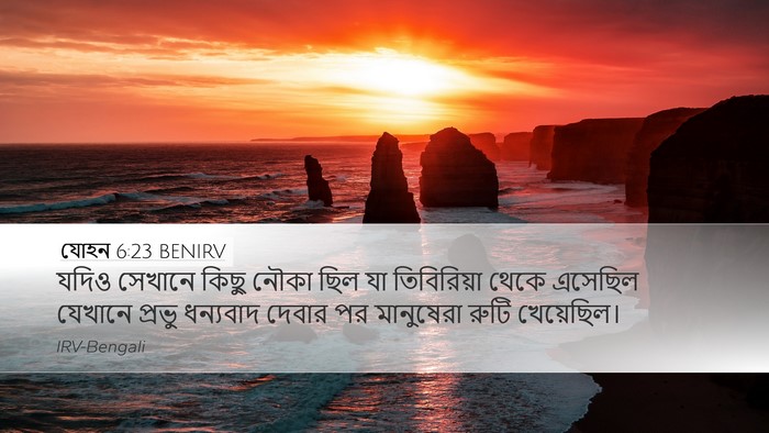 যোহন 6:23 BENIRV Bible Verse Image