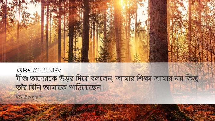 যোহন 7:16 BENIRV Bible Verse Image