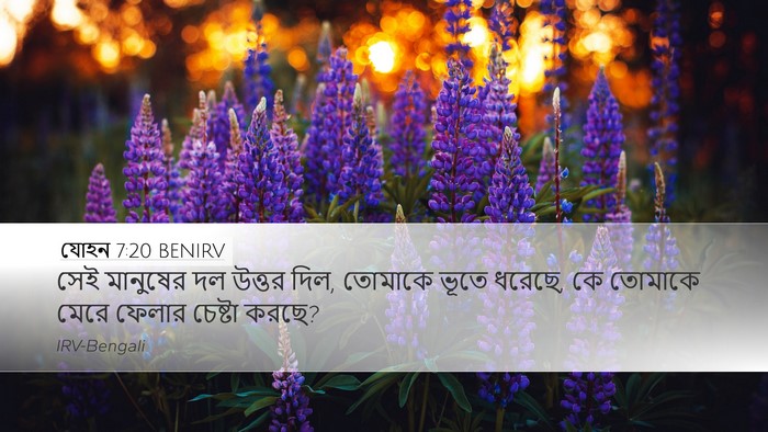 যোহন 7:20 BENIRV Bible Verse Image