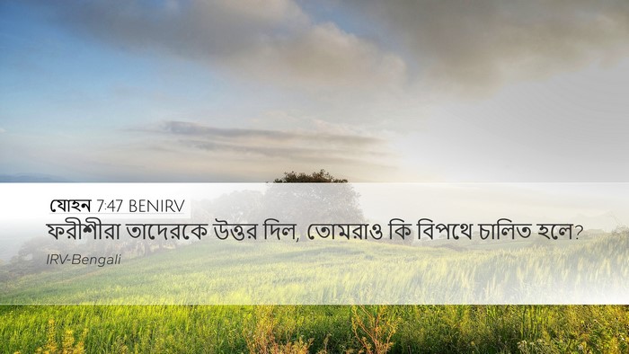 যোহন 7:47 BENIRV Bible Verse Image