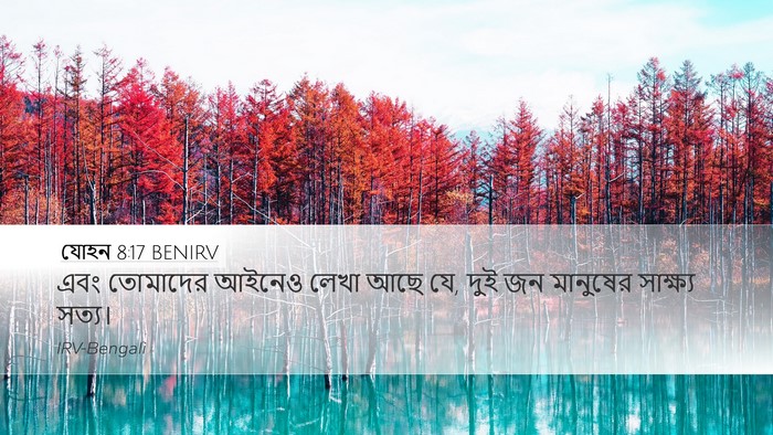যোহন 8:17 BENIRV Bible Verse Image