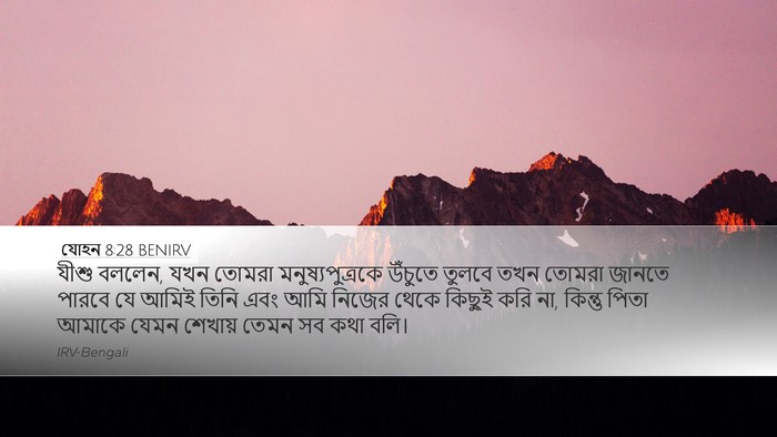 যোহন 8:28 BENIRV Bible Verse Image