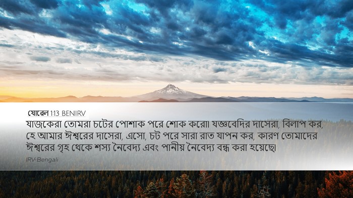 যোৱেল 1:13 BENIRV Bible Verse Image