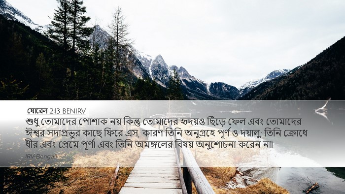 যোৱেল 2:13 BENIRV Bible Verse Image