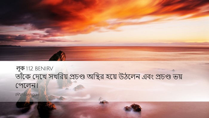 লূক 1:12 BENIRV Desktop Wallpaper - তাঁকে দেখে সখরিয় - Desktop Bible Verse Wallpaper