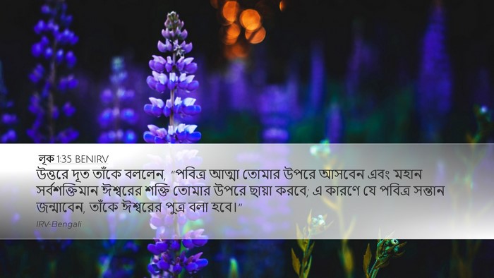 লূক 1:35 BENIRV Bible Verse Image